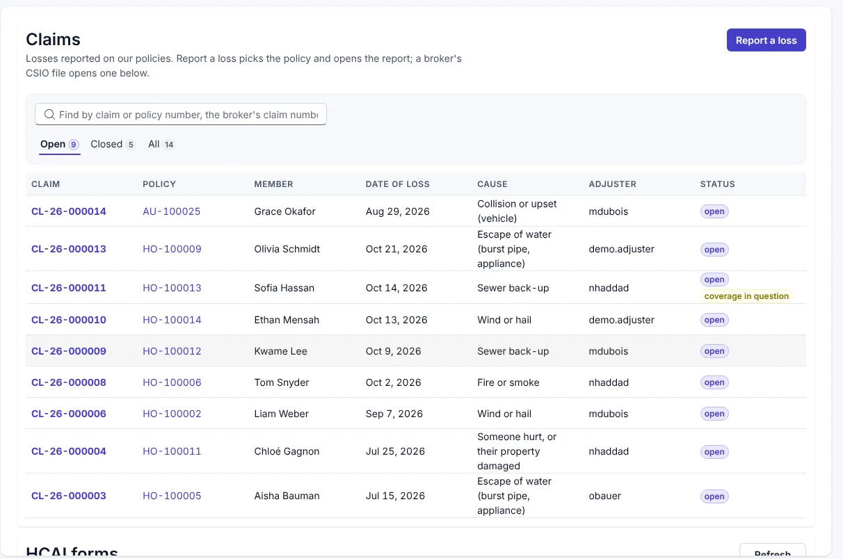 The claims list with open claims, causes, adjusters and status